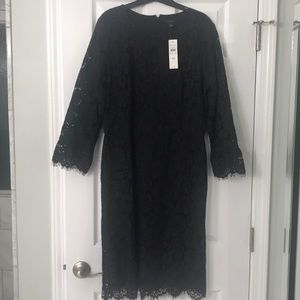 NWT Ann Taylor Black lace dress 12T